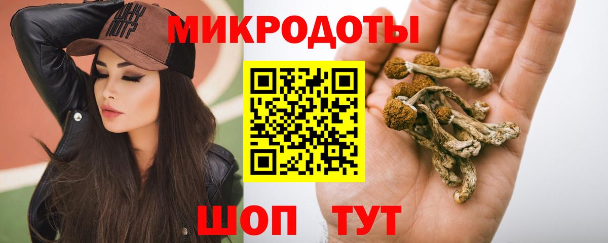 Галлюциногенные грибы Psilocybine cubensis Хасавюрт