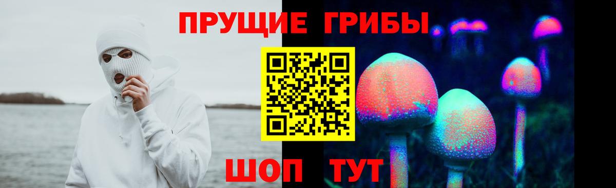Галлюциногенные грибы мицелий  Вход с VPN  цены наркотик  Хасавюрт 